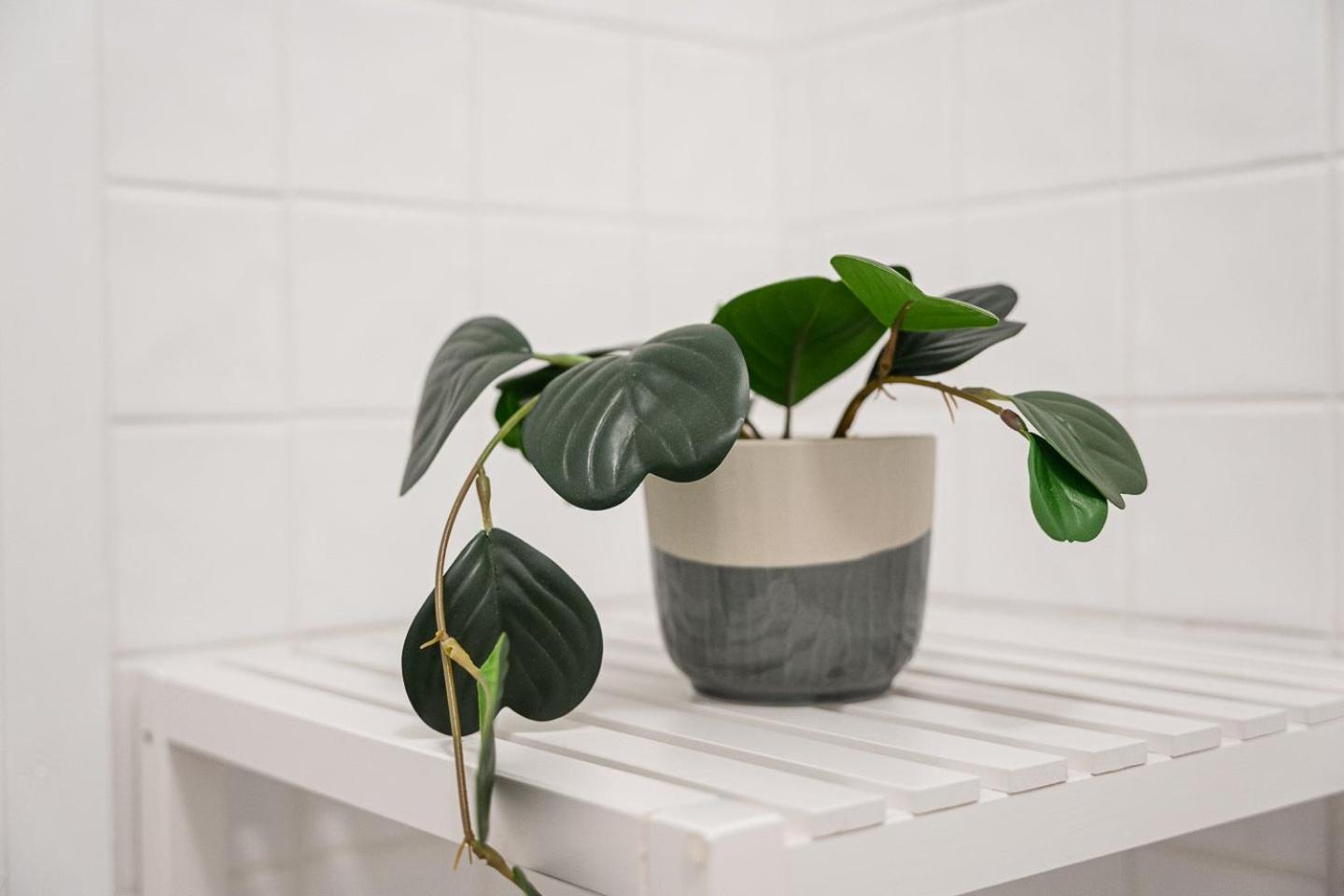 Guestready - A Warm City Refuge In Cedofeita 포르투 외부 사진